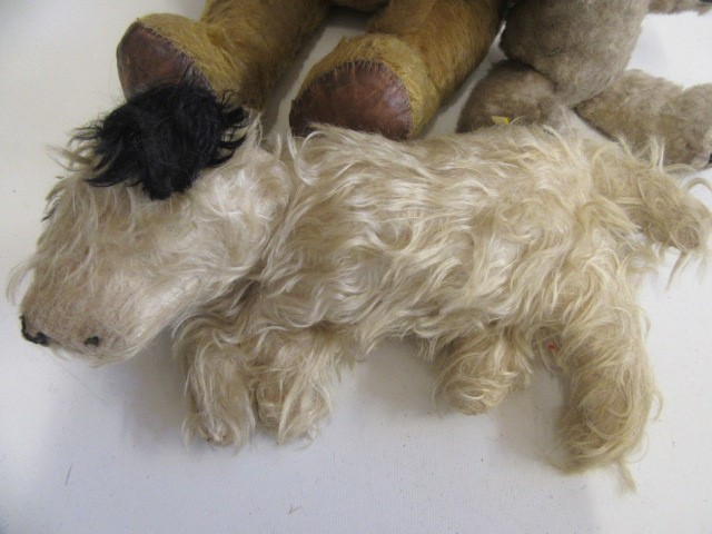 A long haired handbag dog Image