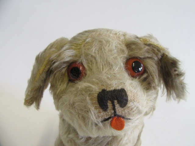 A pre-war squeeze box musical dog Image