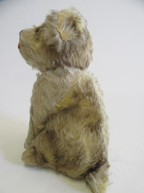 A pre-war squeeze box musical dog Image