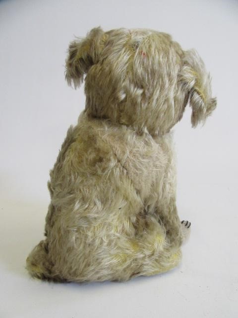 A pre-war squeeze box musical dog Image