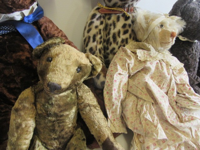 Five modern collectors bears Image