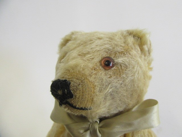 A pre-war Steiff teddy Image