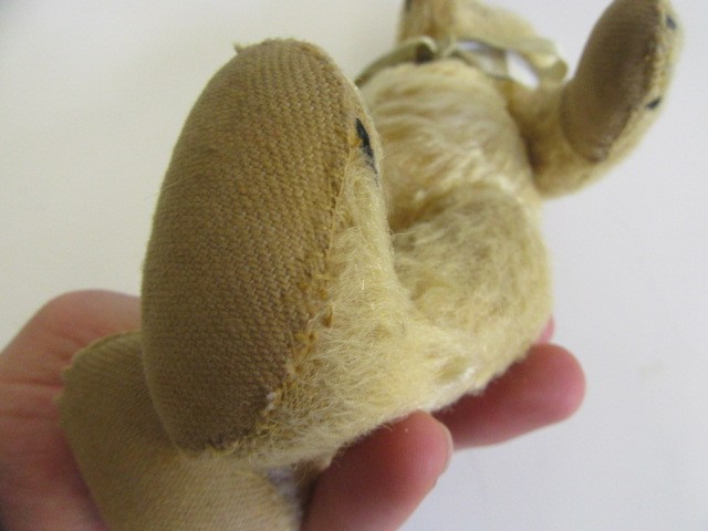 A pre-war Steiff teddy Image