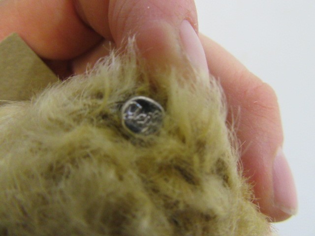 A pre-war Steiff teddy Image