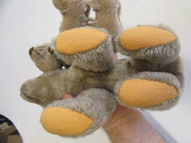 Two Steiff standing bears Image