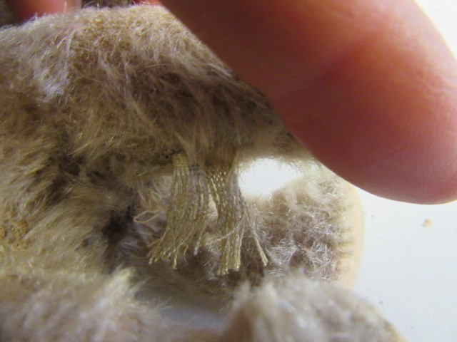 Two Steiff standing bears Image