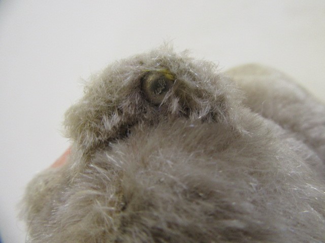 Two Steiff standing bears Image