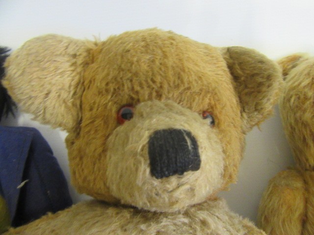 A pre-war Chad Valley teddy Image