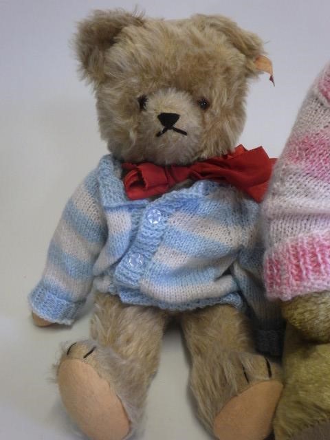 A large vintage bear Image