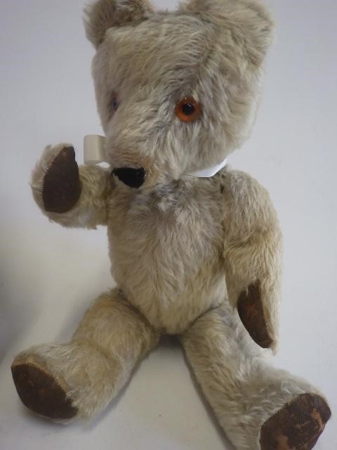 A large vintage bear Image