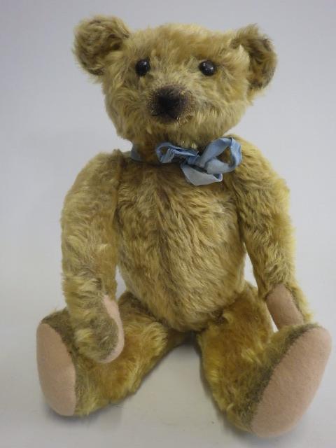 An old teddy bear Image