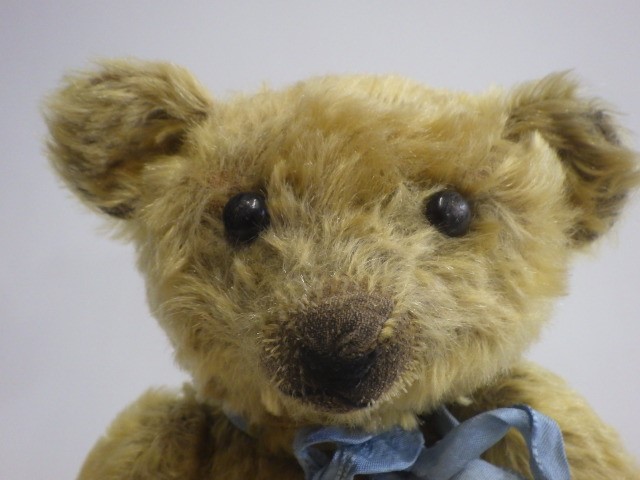 An old teddy bear Image