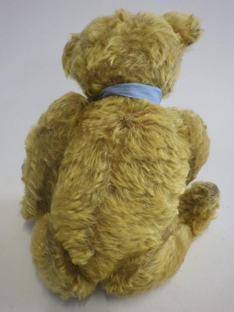 An old teddy bear Image