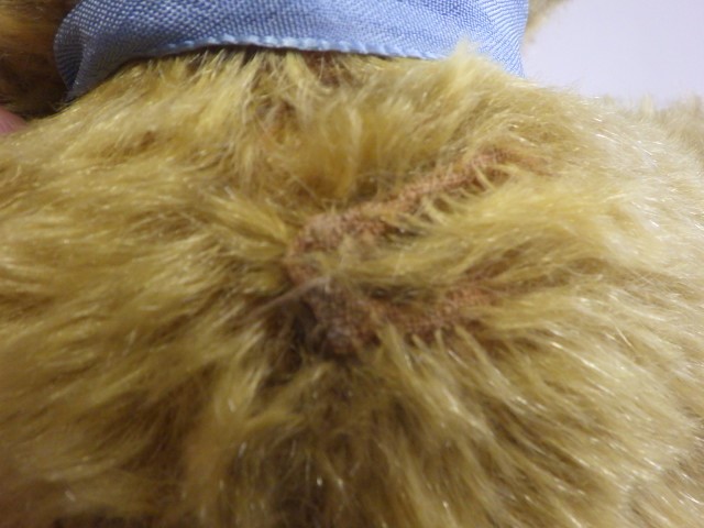 An old teddy bear Image