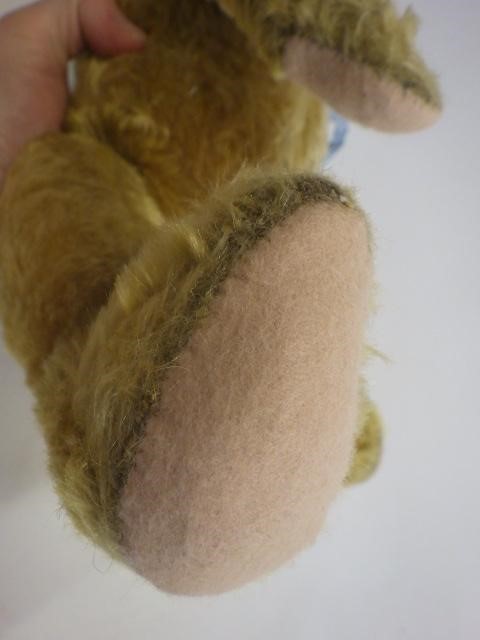 An old teddy bear Image