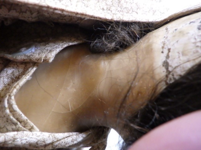 A 19th century wax shoulder head doll Image