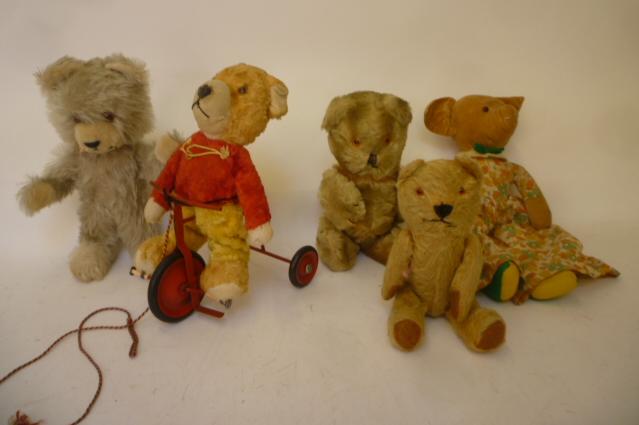 A pull-along teddy bear on metal tricycle Image