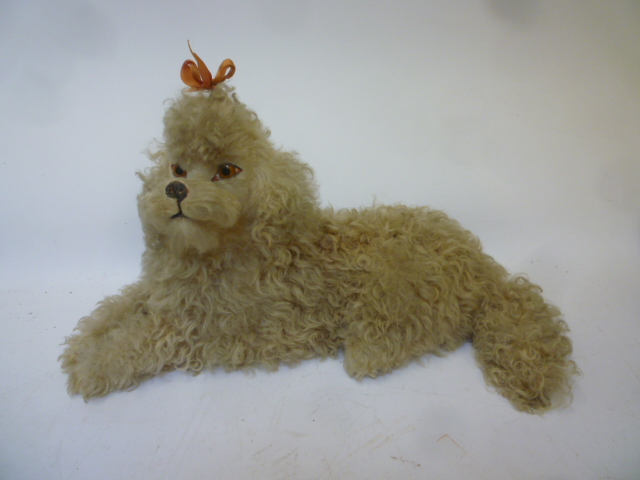 A seated French poodle pyjama case covered in faded apricot lamb skin with black/amber glass eyes Image