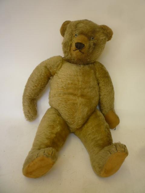 An English early 20th century teddy bear Image