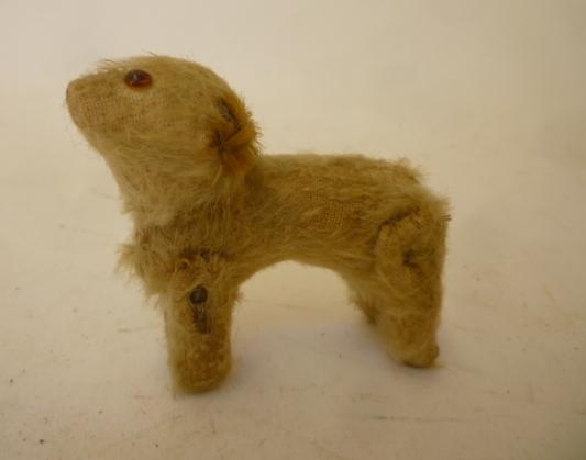 A miniature dog Image