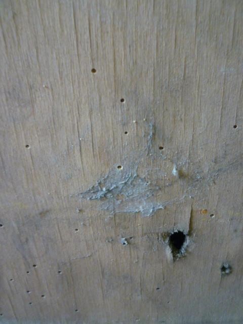 A "Win A Prize" gaming machine by O. Whales Image