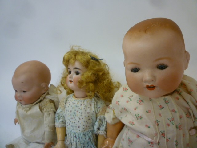 Three Armand Marseille bisque head dolls Image