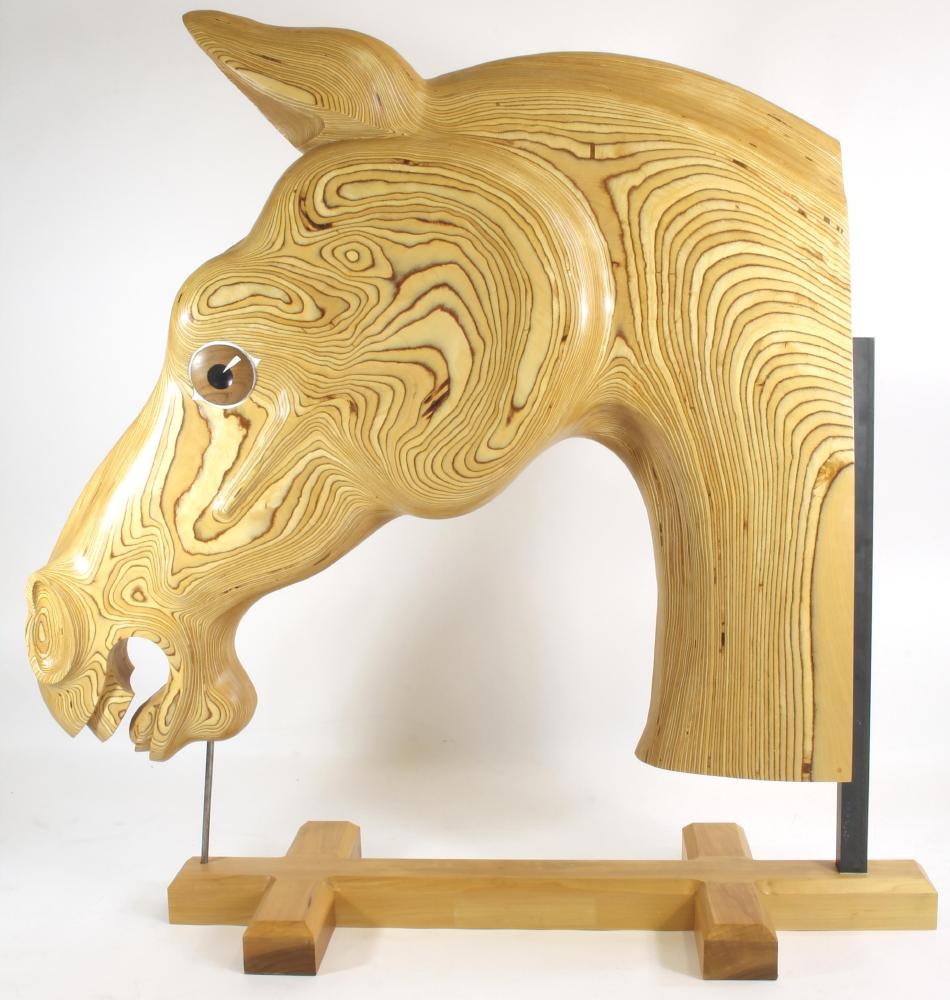 A half horse's head Image