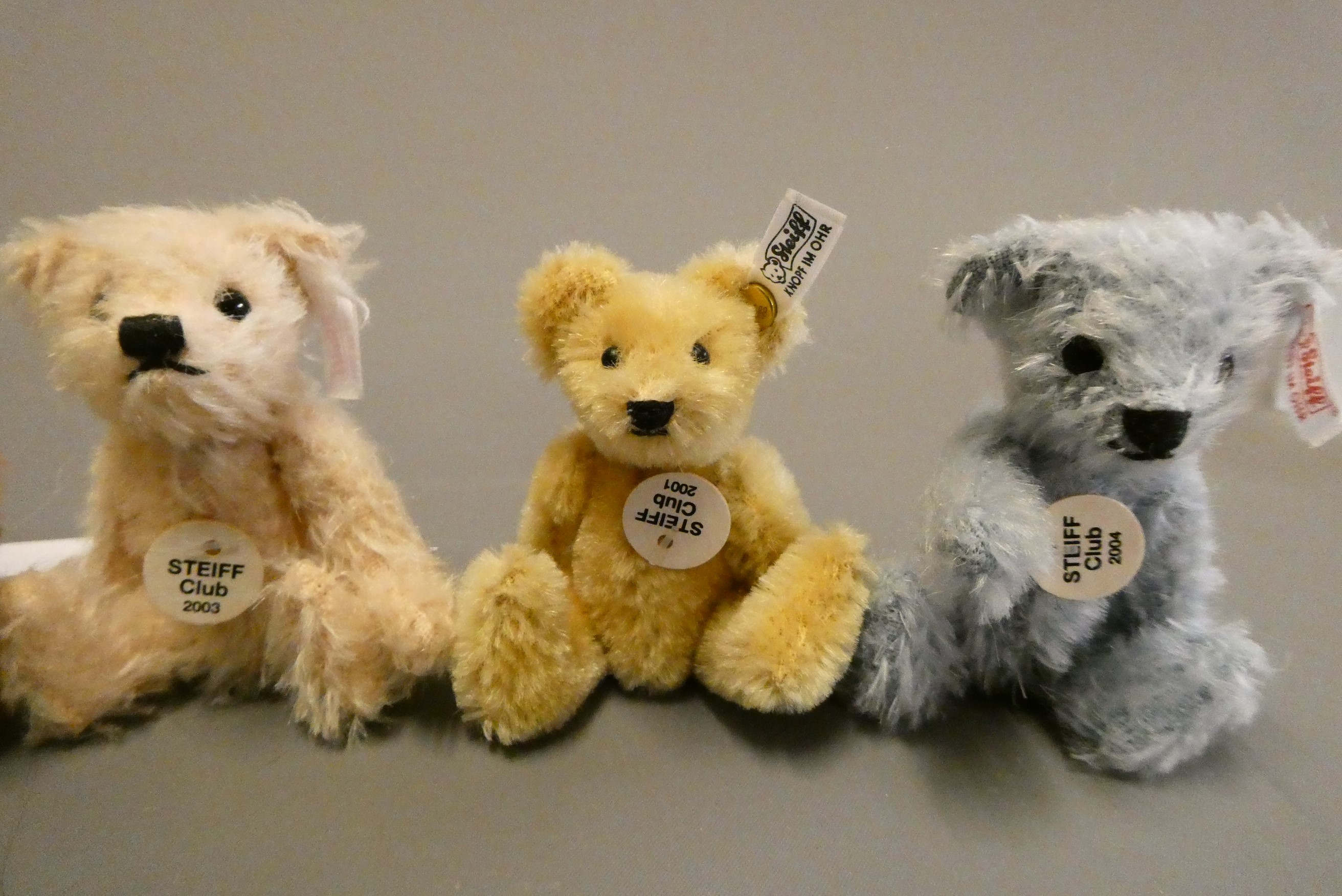Five Steiff Club miniature teddy bears, comprising various colours from 2001 to 2005 consecutively, Image