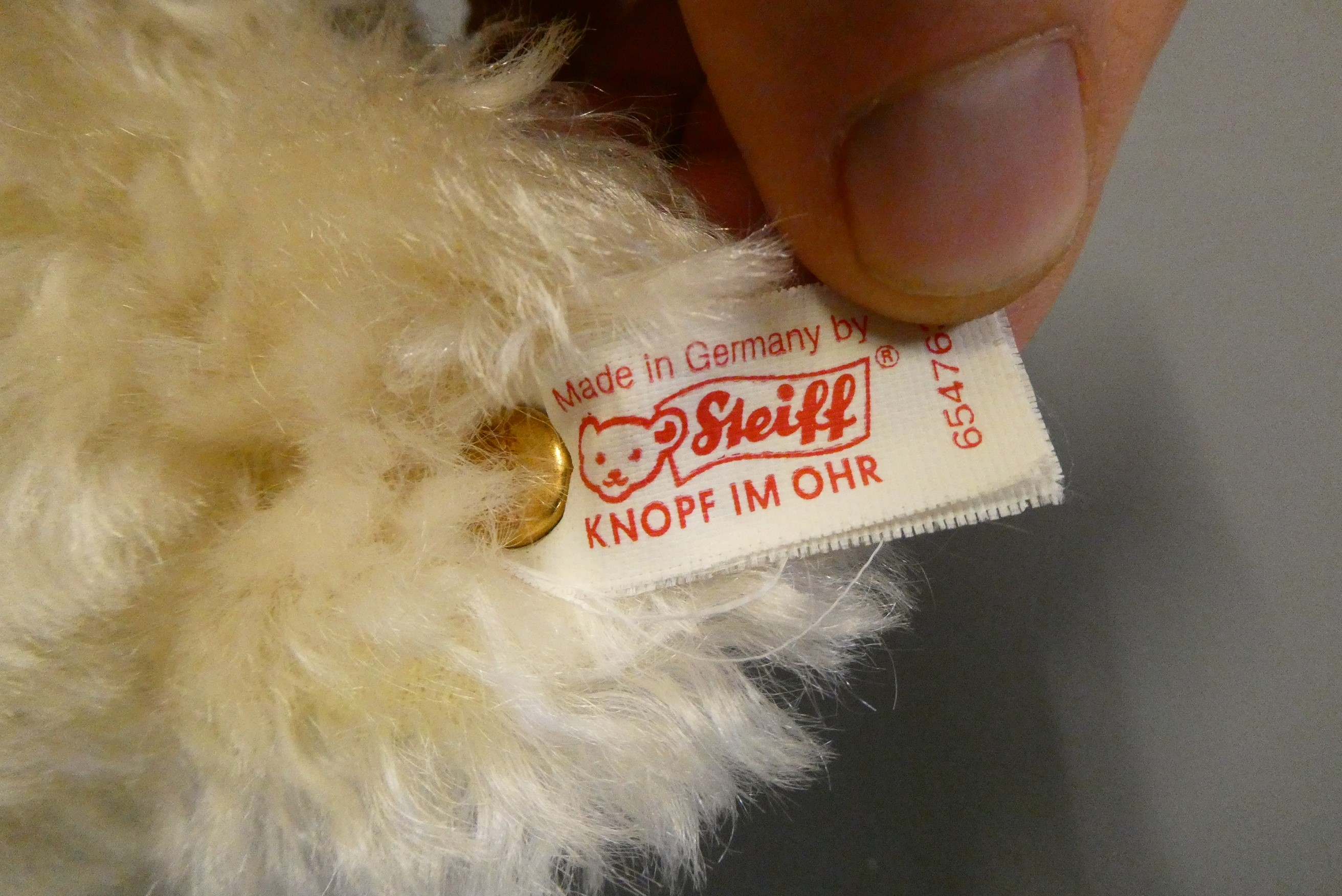 A white Steiff growling teddy bear, with gold sewn nose, matching bow, felt pads, ear stud and Image