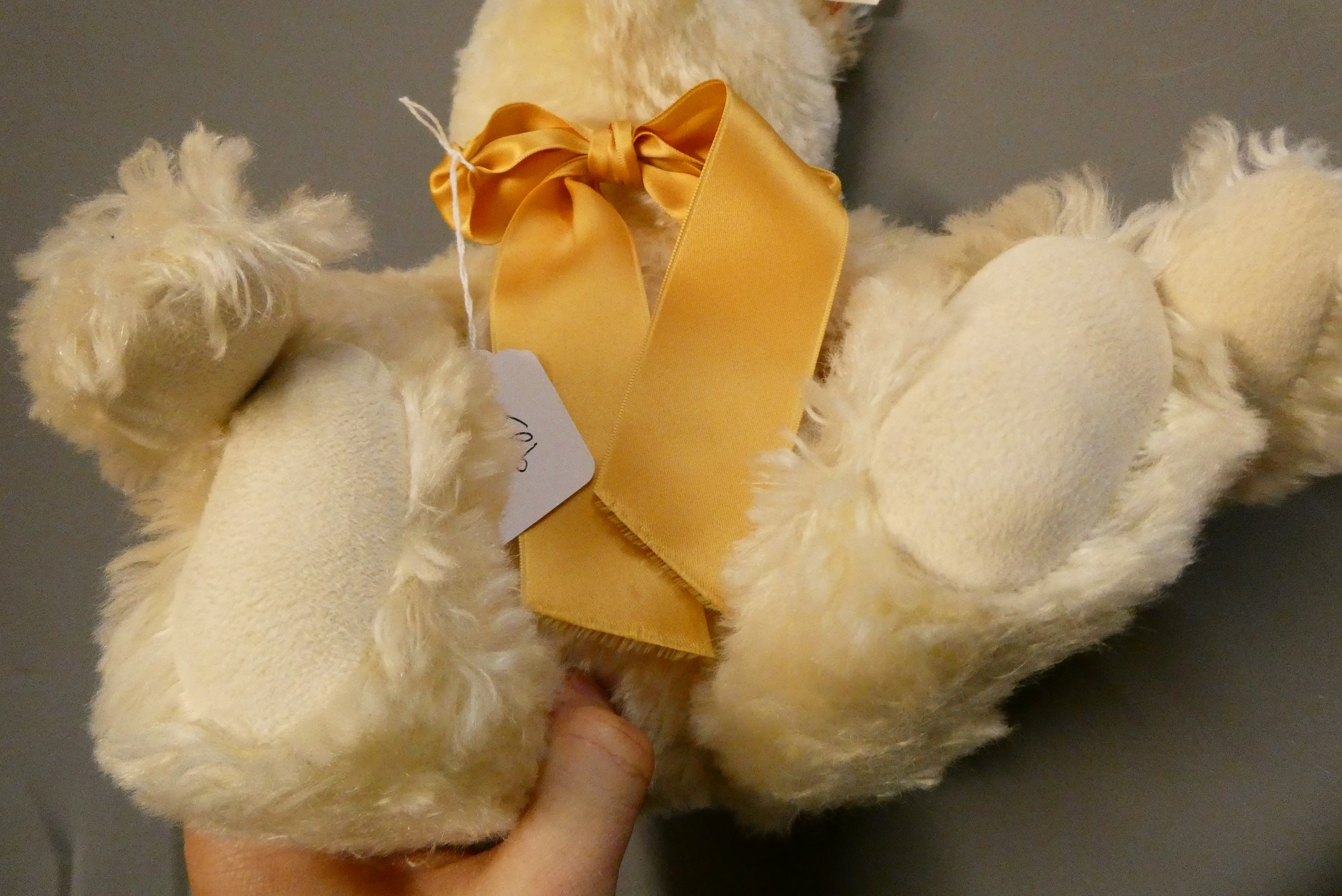 A white Steiff growling teddy bear, with gold sewn nose, matching bow, felt pads, ear stud and Image