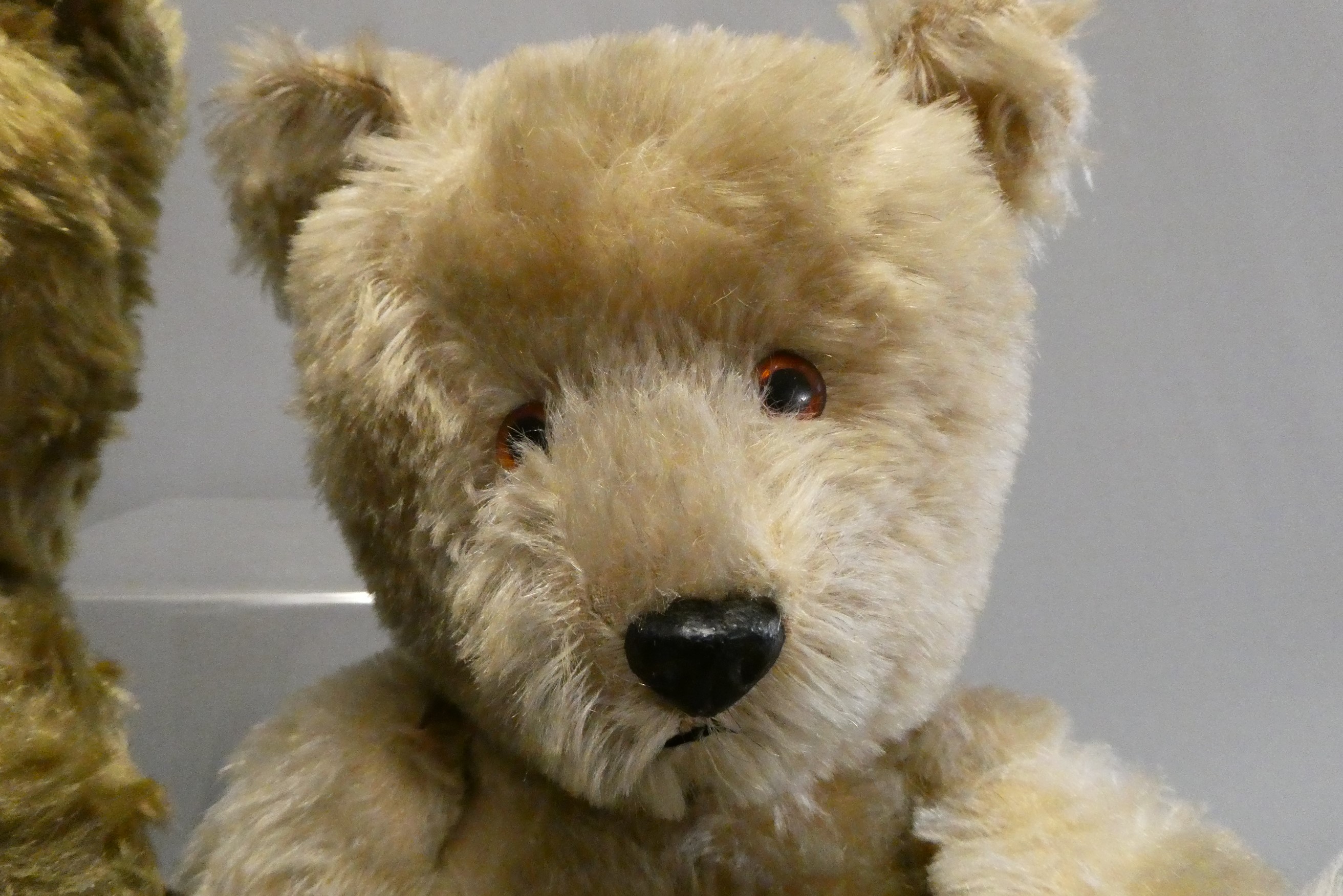 Two vintage English teddy bears Image