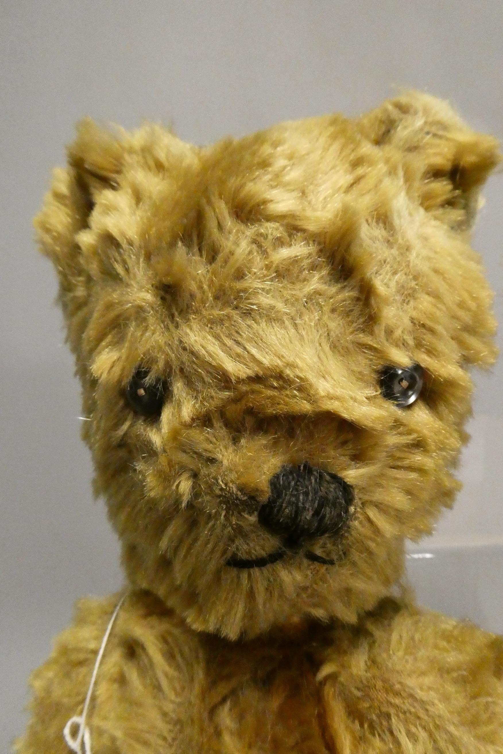 Two vintage English teddy bears Image