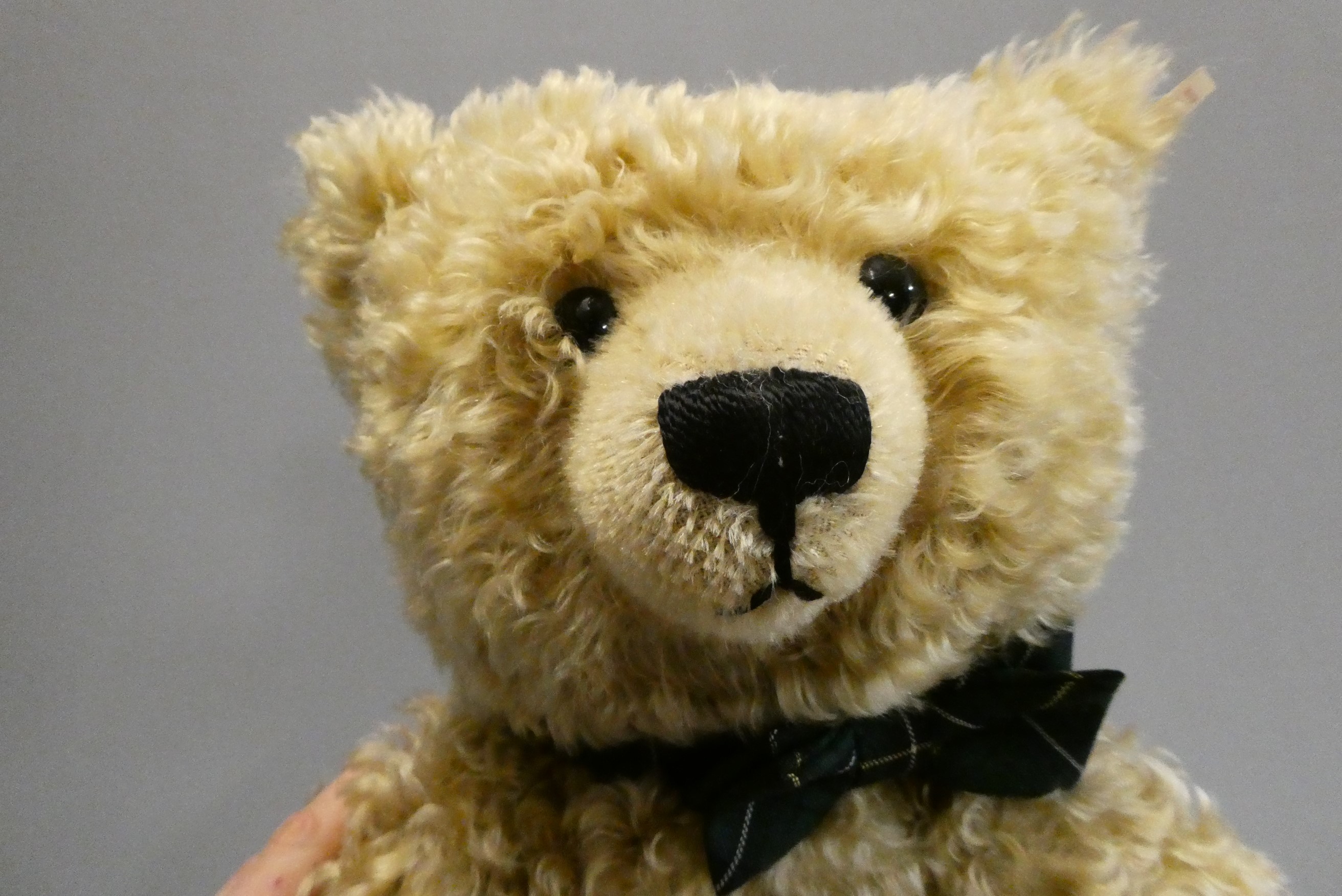A large Steiff growling teddy bear, with long orange curly plush, sewn nose, all black eyes, felt Image