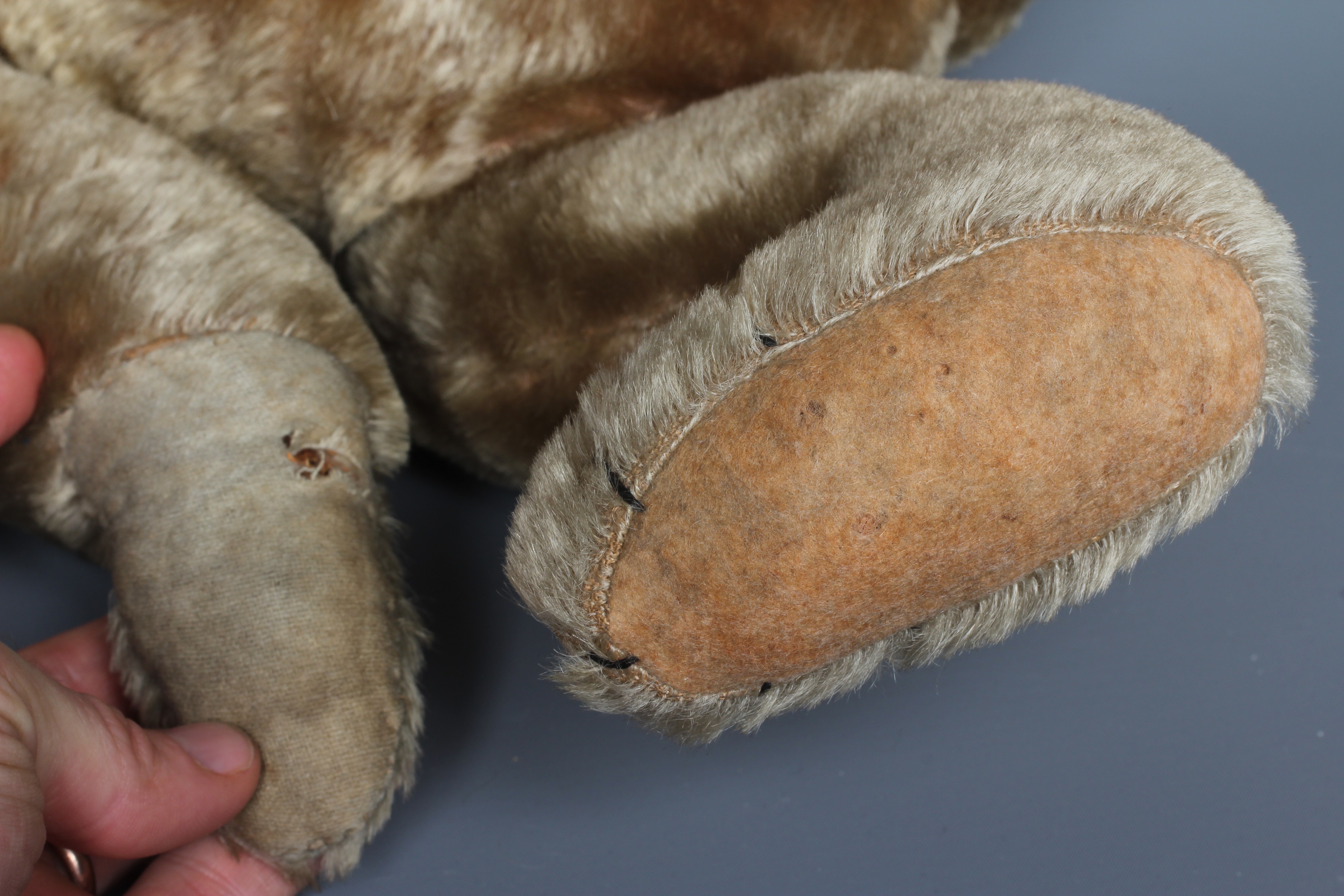 An early teddy bear, circa 1920, with shoe button eyes, sewn nose, long snout, back hump, Image