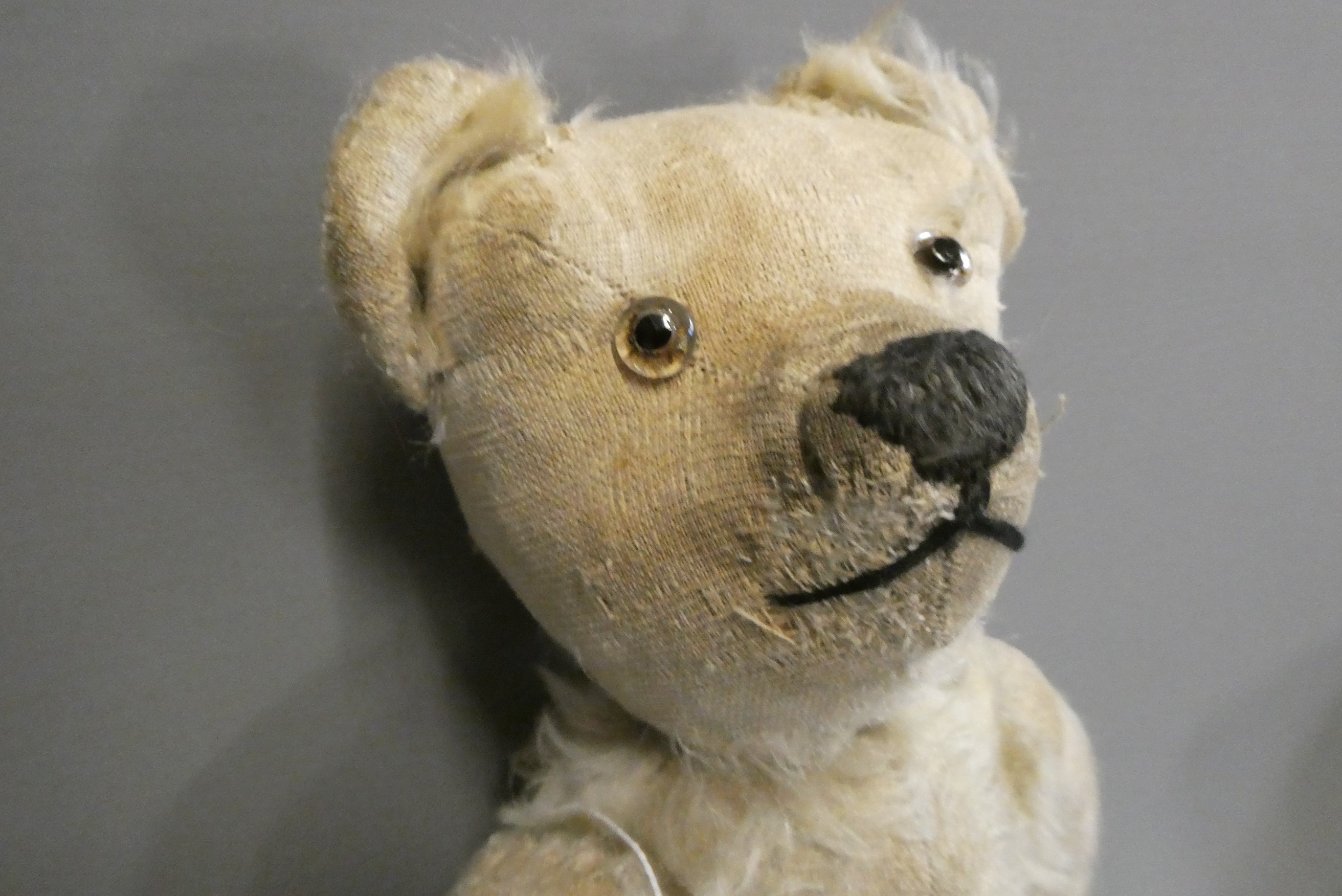 A Chad Valley cork filled teddy bear, circa 1920, with clear glass eyes, white plush, sewn nose and Image