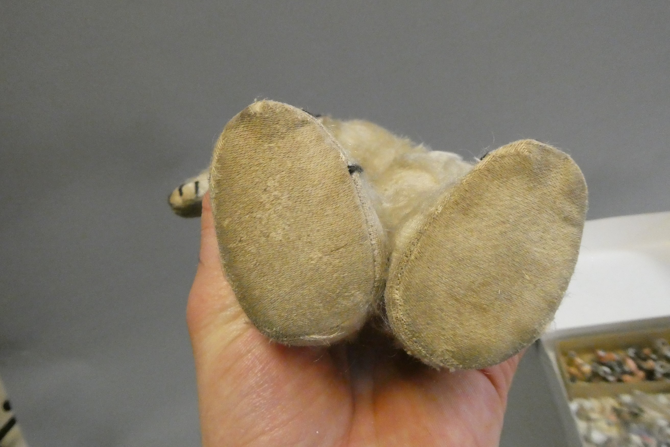 A Chad Valley cork filled teddy bear, circa 1920, with clear glass eyes, white plush, sewn nose and Image