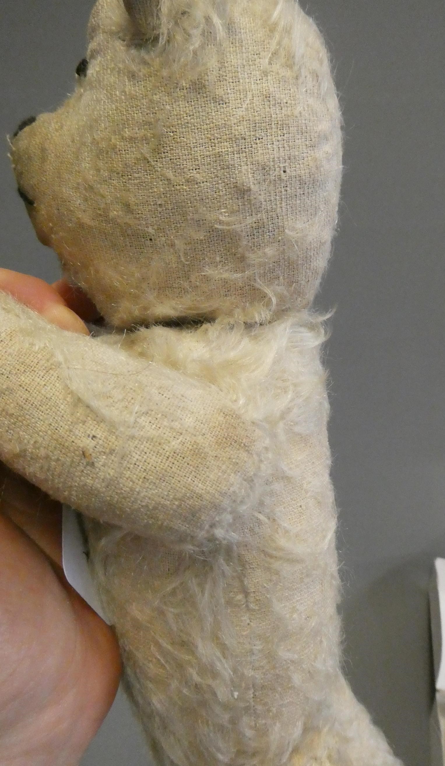 A Chad Valley cork filled teddy bear, circa 1920, with clear glass eyes, white plush, sewn nose and Image