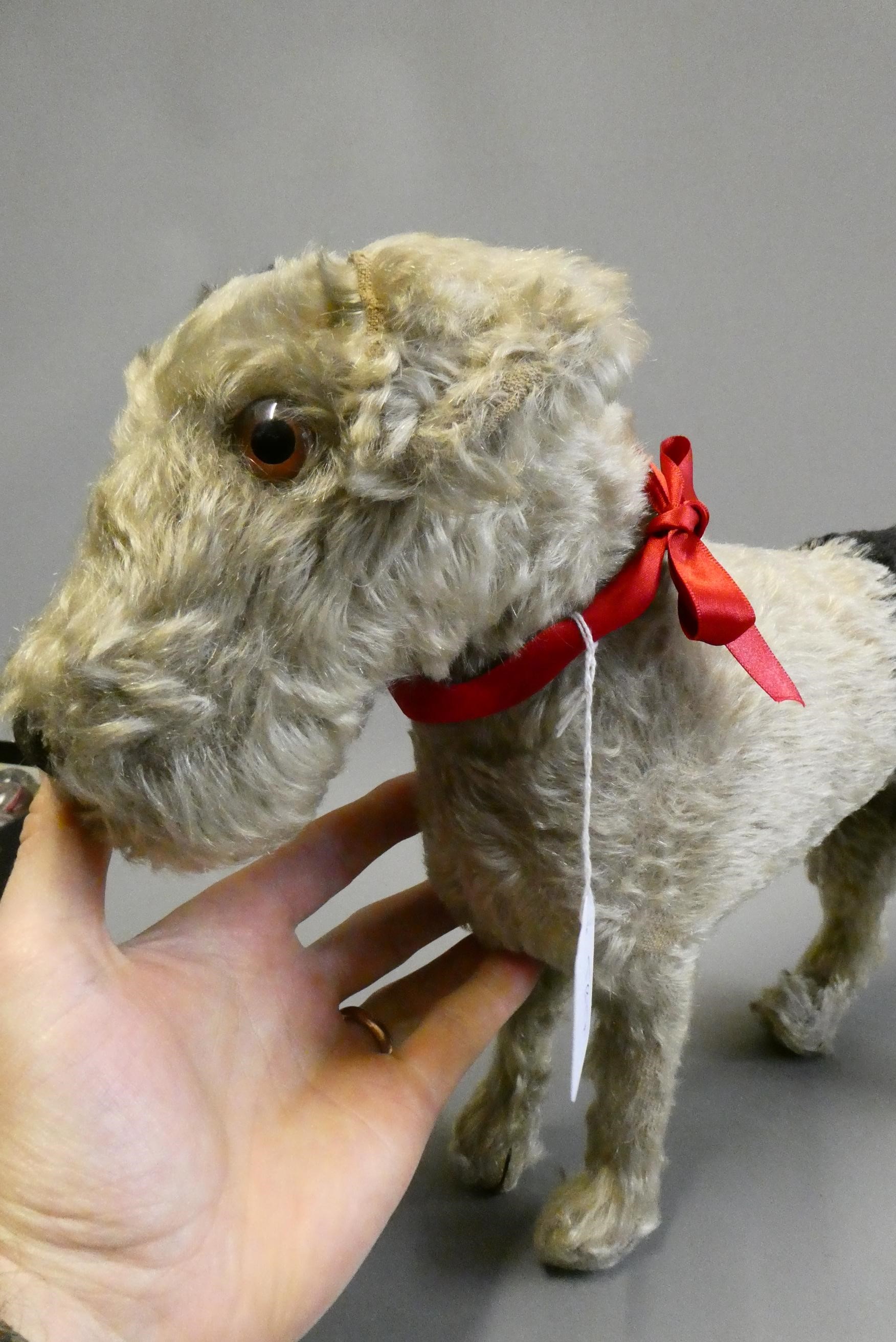 A rare Steiff Airedale(?) terrier, with amber glass eyes, sewn nose, white plush with black spots, Image