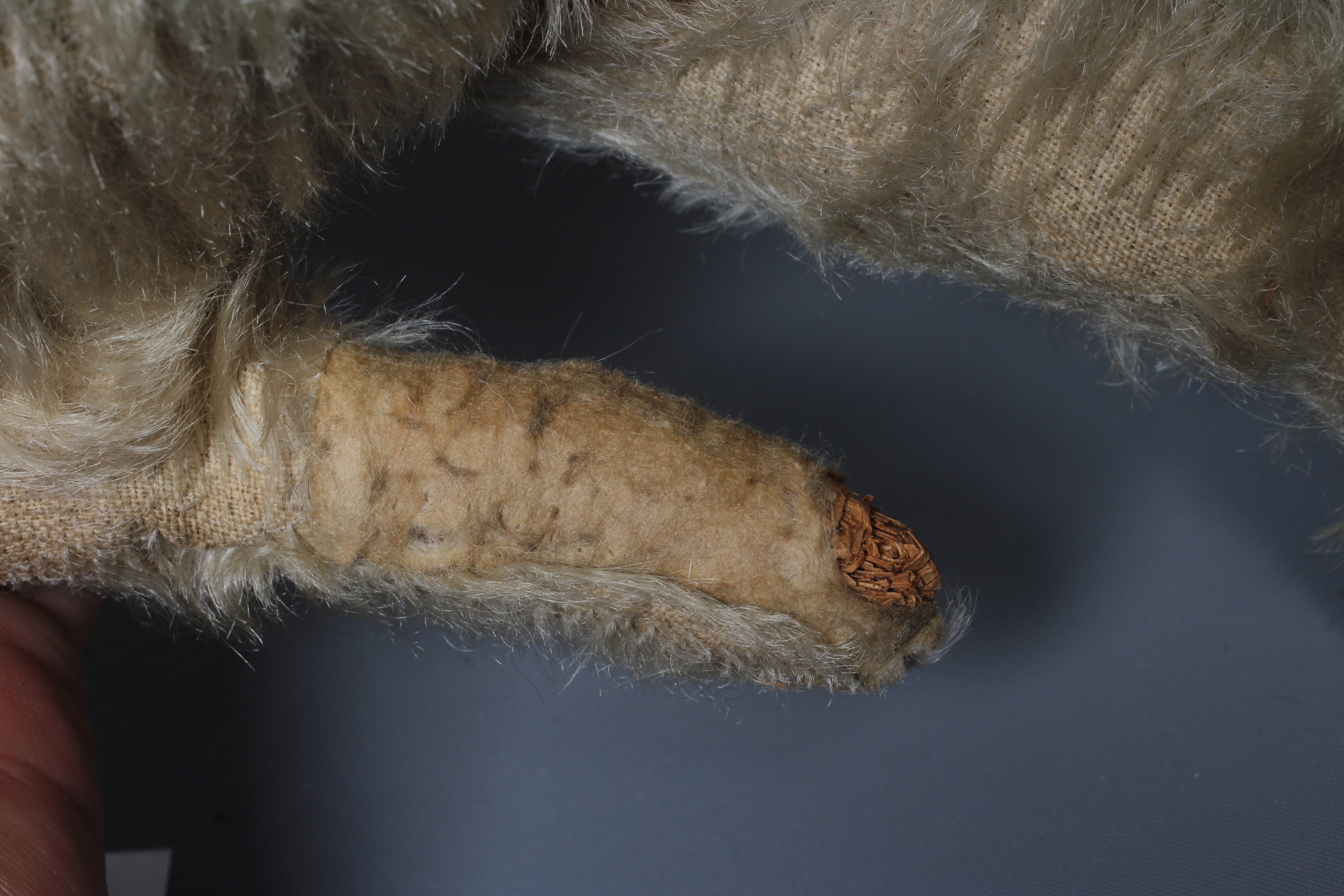 An antique straw filled teddy bear, with black shoe button eyes, sewn nose and light plush, 14" long Image