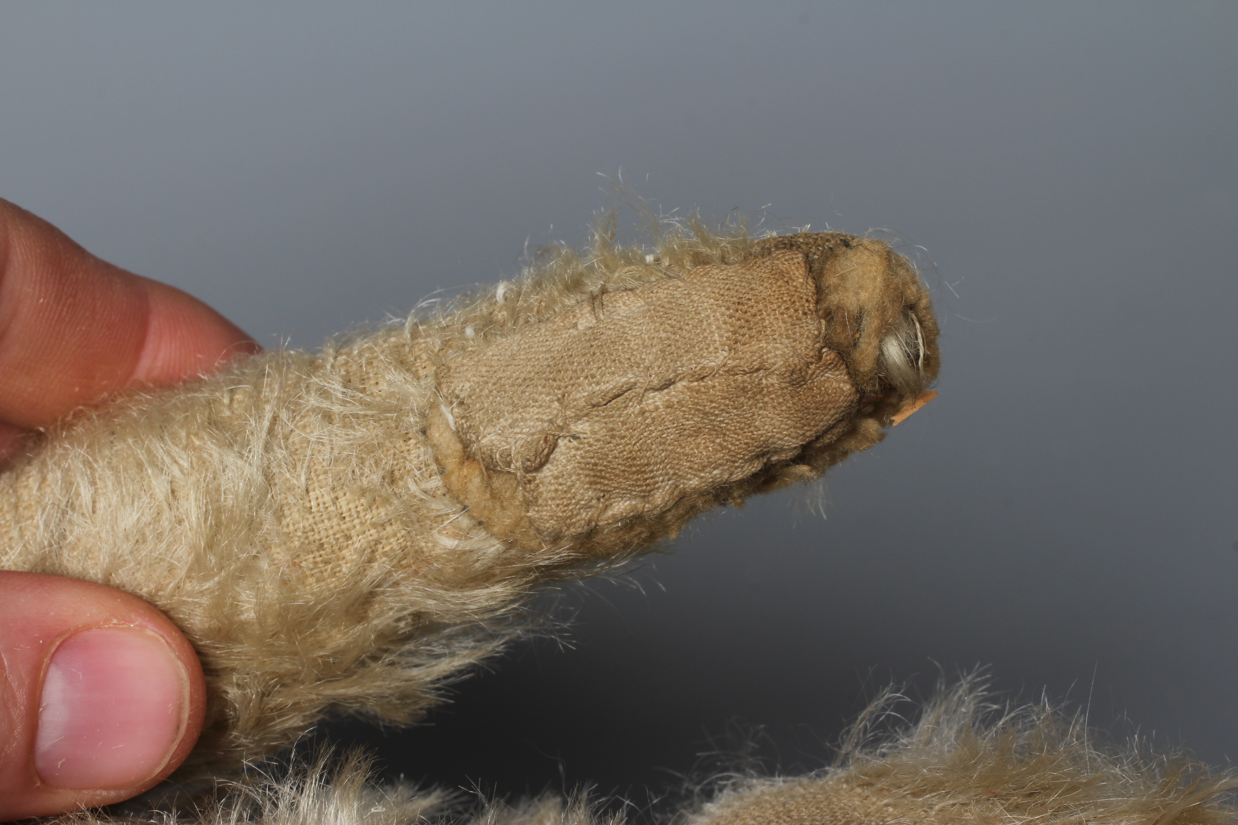 An antique straw filled teddy bear, with black shoe button eyes, sewn nose and light plush, 14" long Image