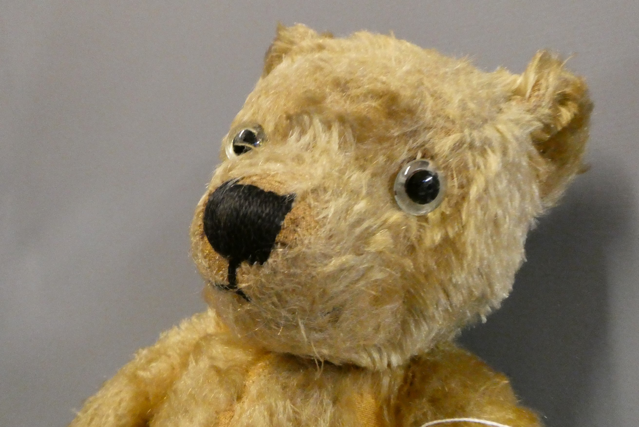An English teddy bear, possibly Chiltern, with clear glass eyes, sewn nose, jointed body and fabric Image