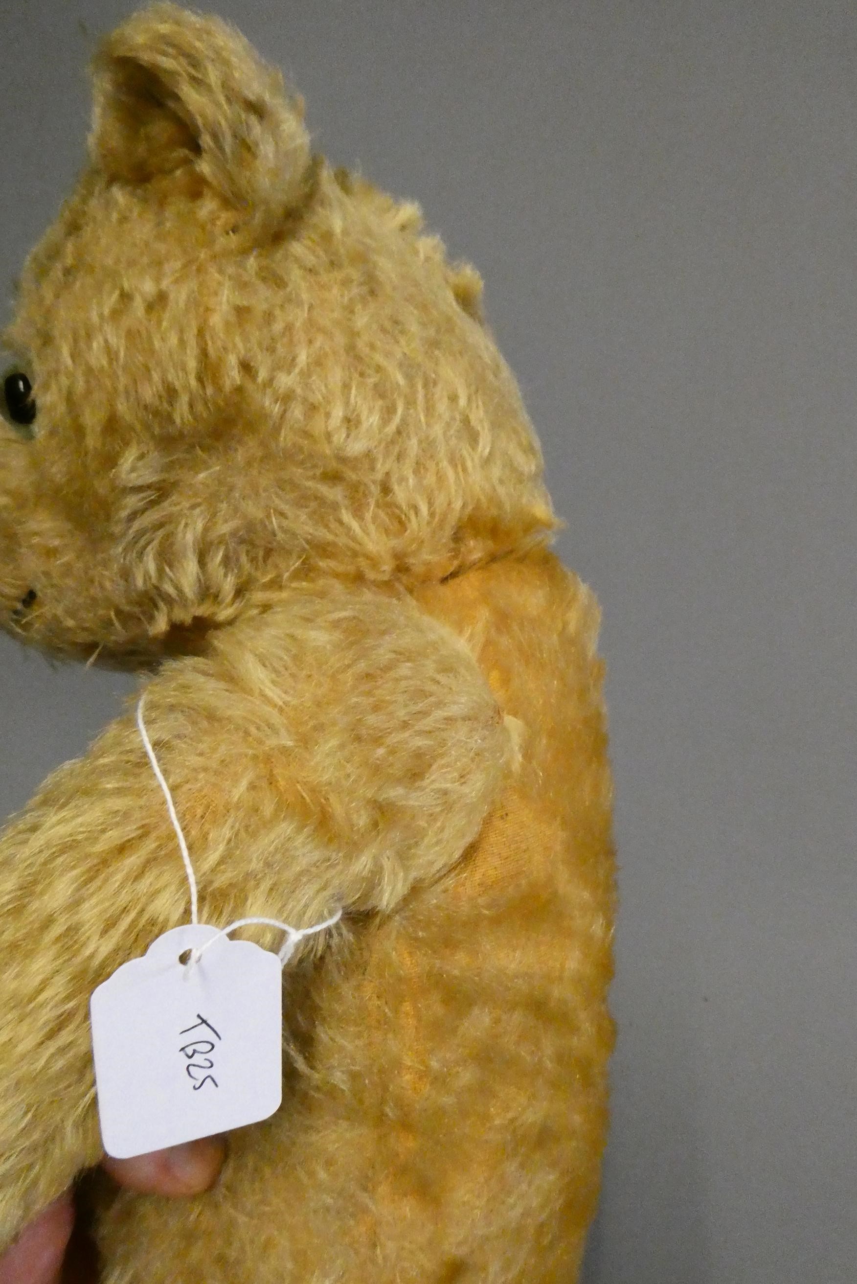 An English teddy bear, possibly Chiltern, with clear glass eyes, sewn nose, jointed body and fabric Image