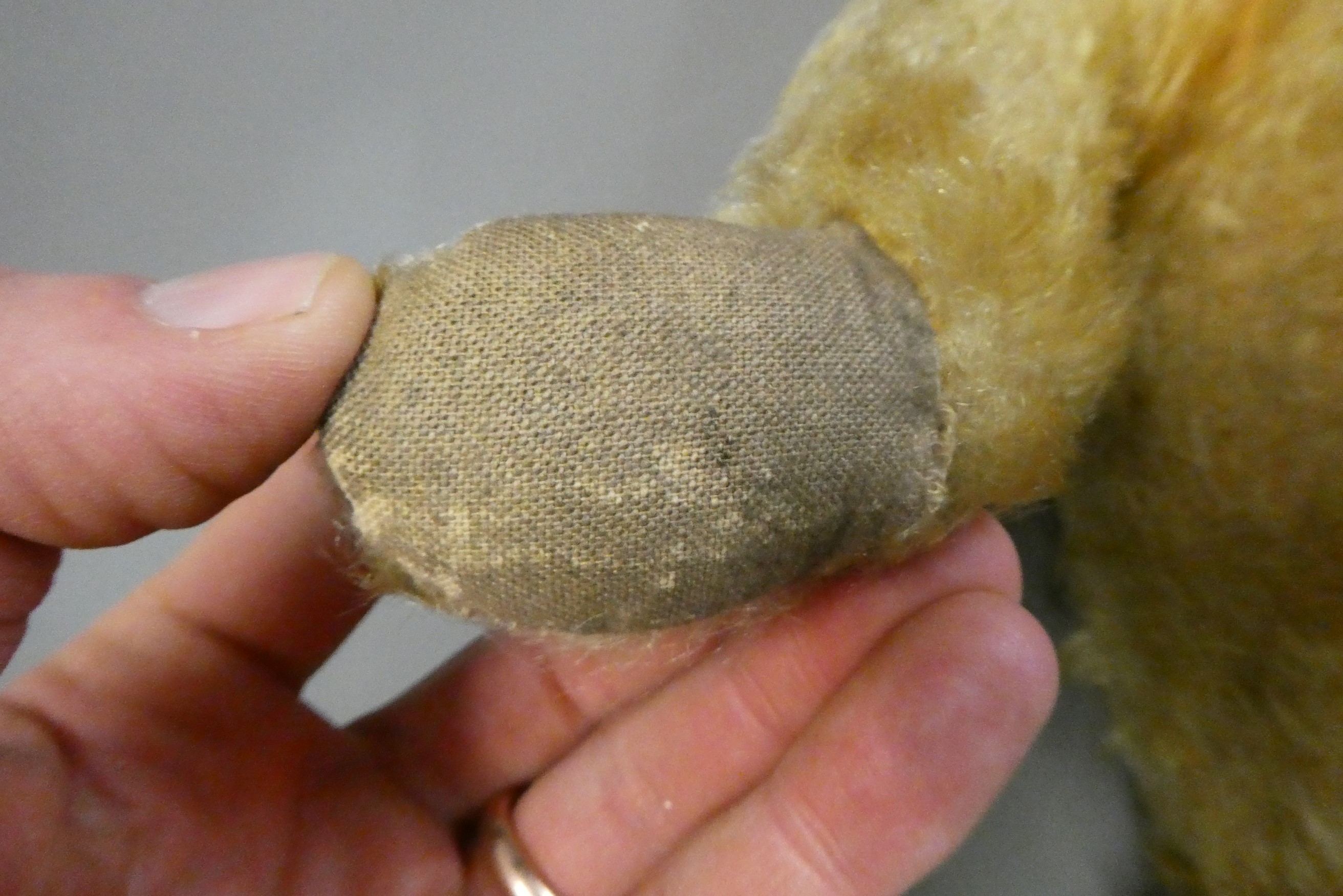 An English teddy bear, possibly Chiltern, with clear glass eyes, sewn nose, jointed body and fabric Image