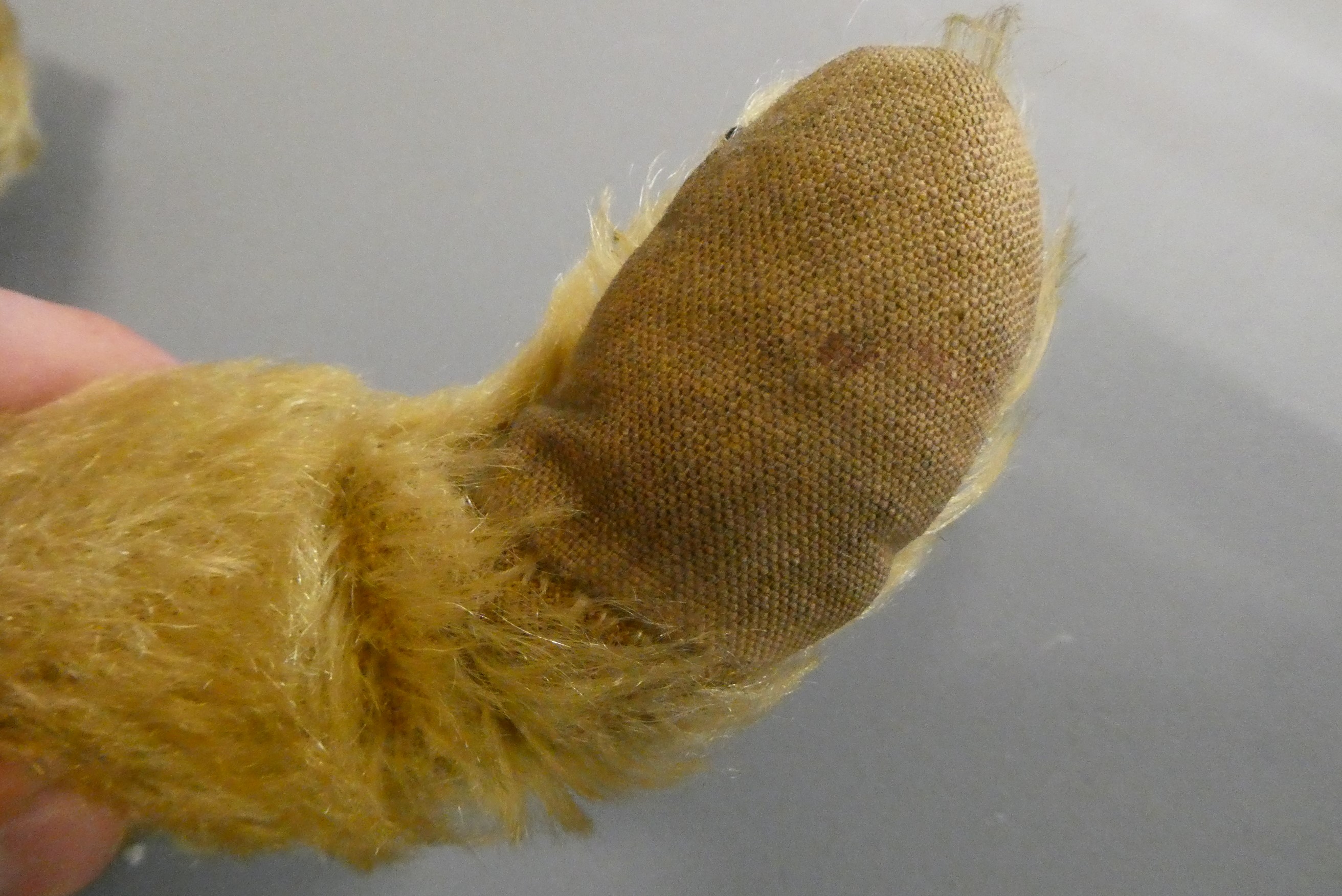 An English teddy bear, possibly Chiltern, with clear glass eyes, sewn nose, jointed body and fabric Image