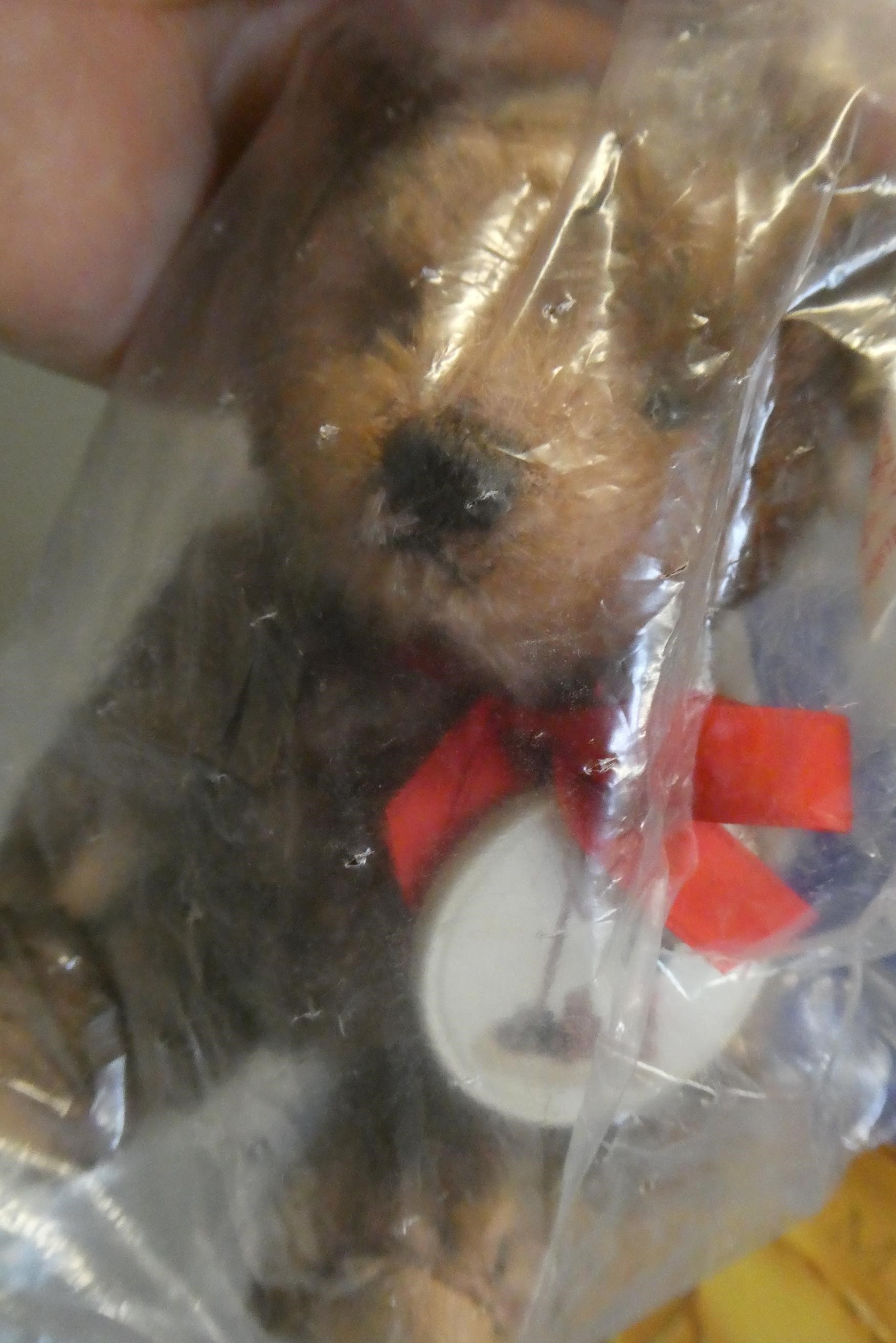 A boxed Steiff "Little Maestro" limited edition boxed set, with small brown bear with ceramic Image