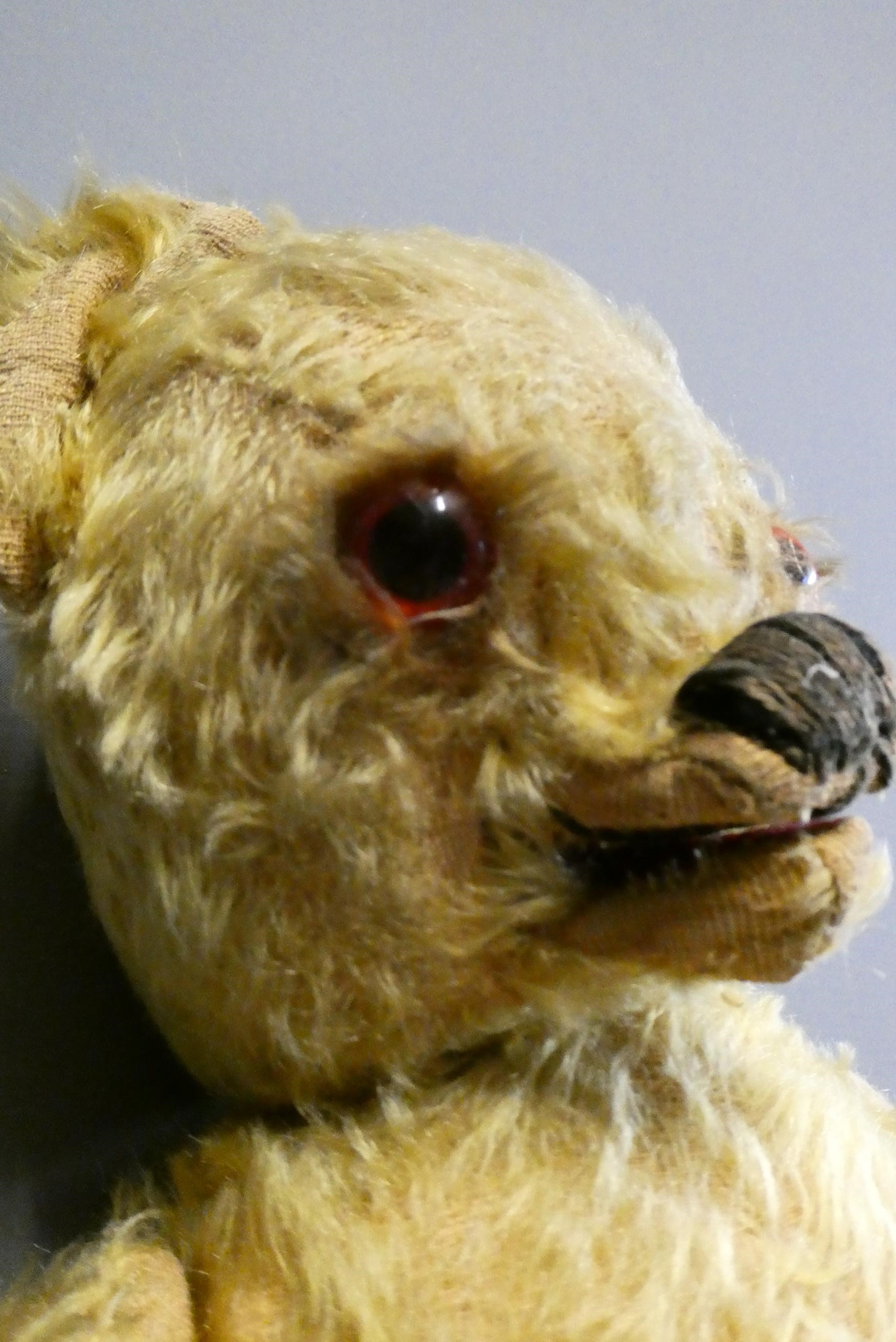 Two vintage teddy bears, comprising a 21" bear with mechanically opening mouth, sewn nose and Image