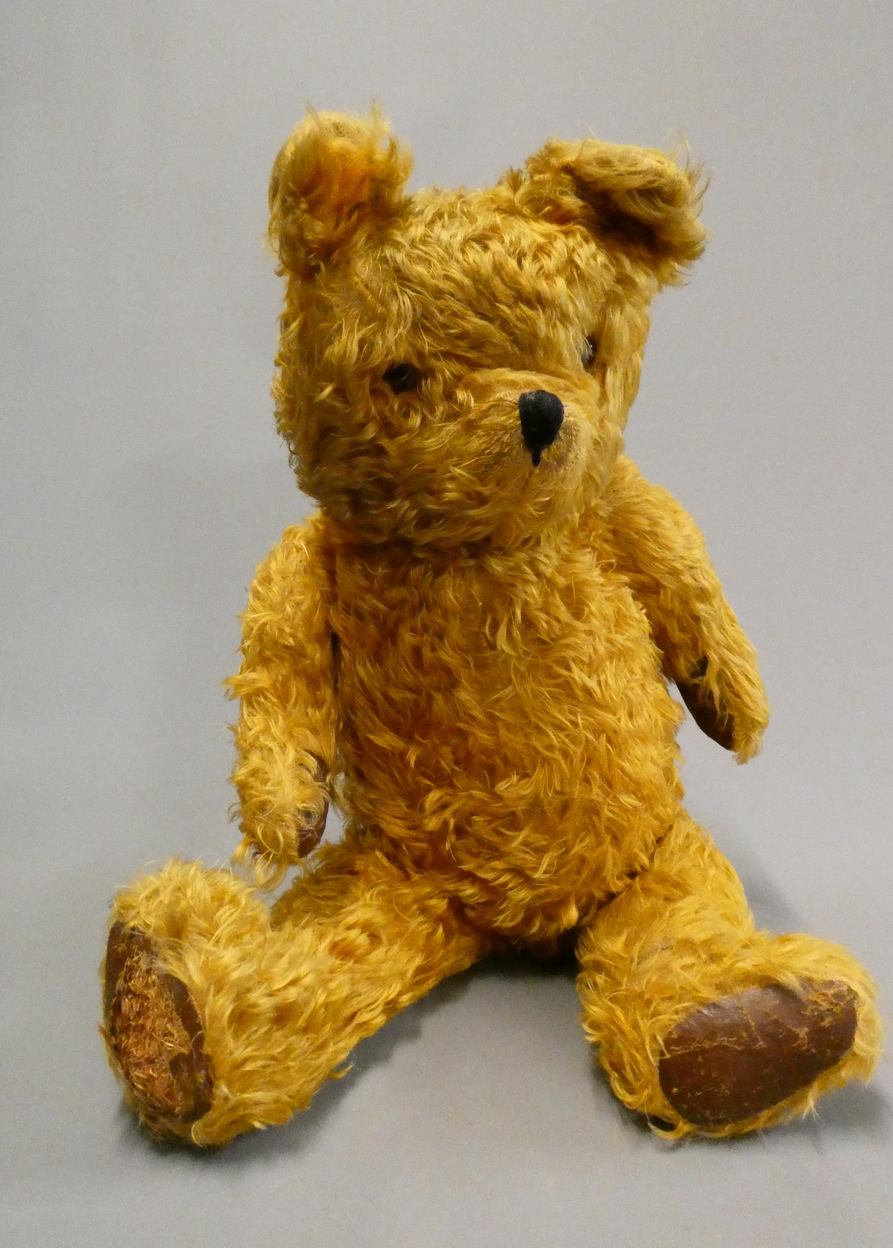 A large teddy bear, thought to be a Chad Valley shop display, with amber glass eyes, long plush and Image
