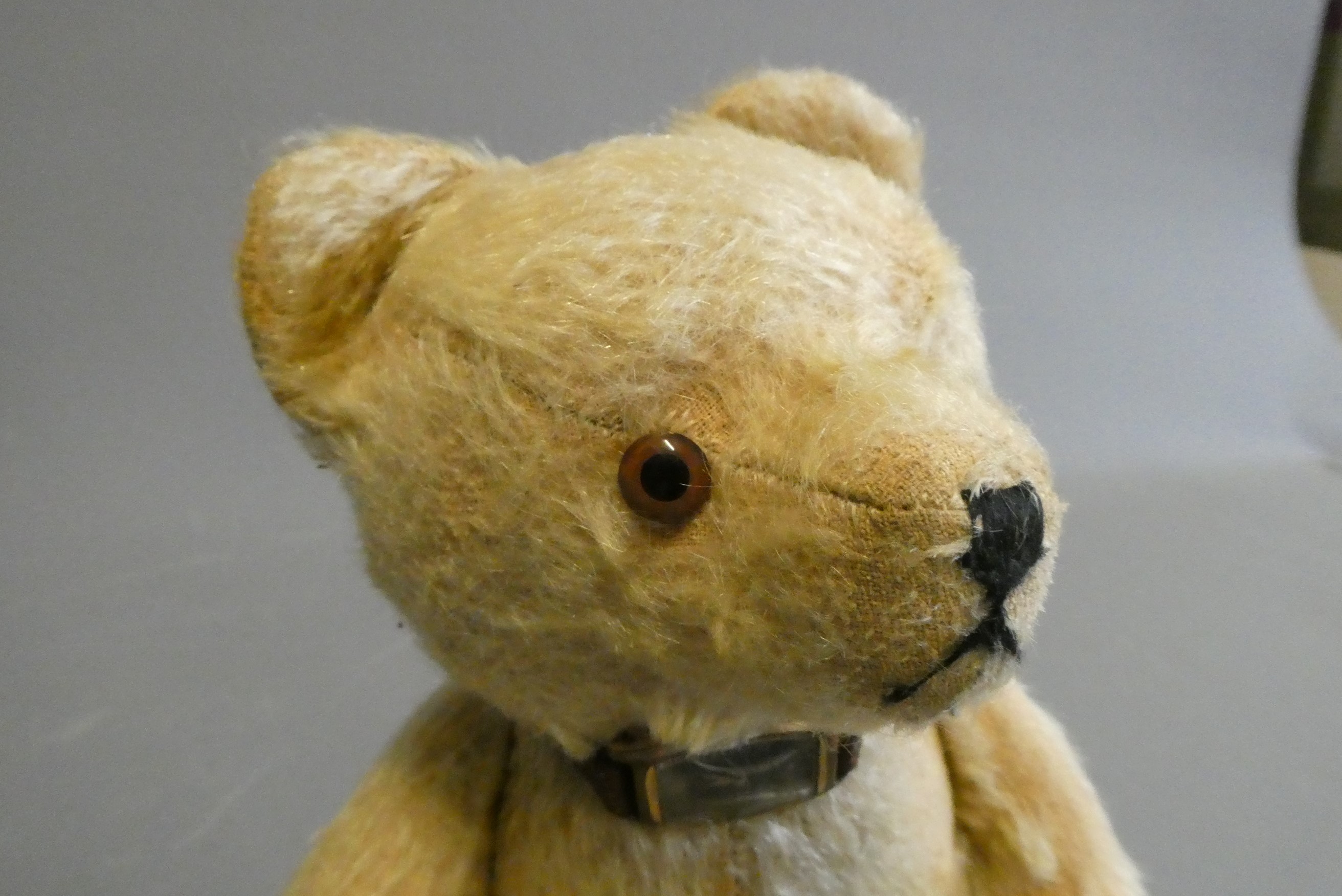 A possible Steiff growling teddy bear, 1940s, straw filled, with light blond plush Image