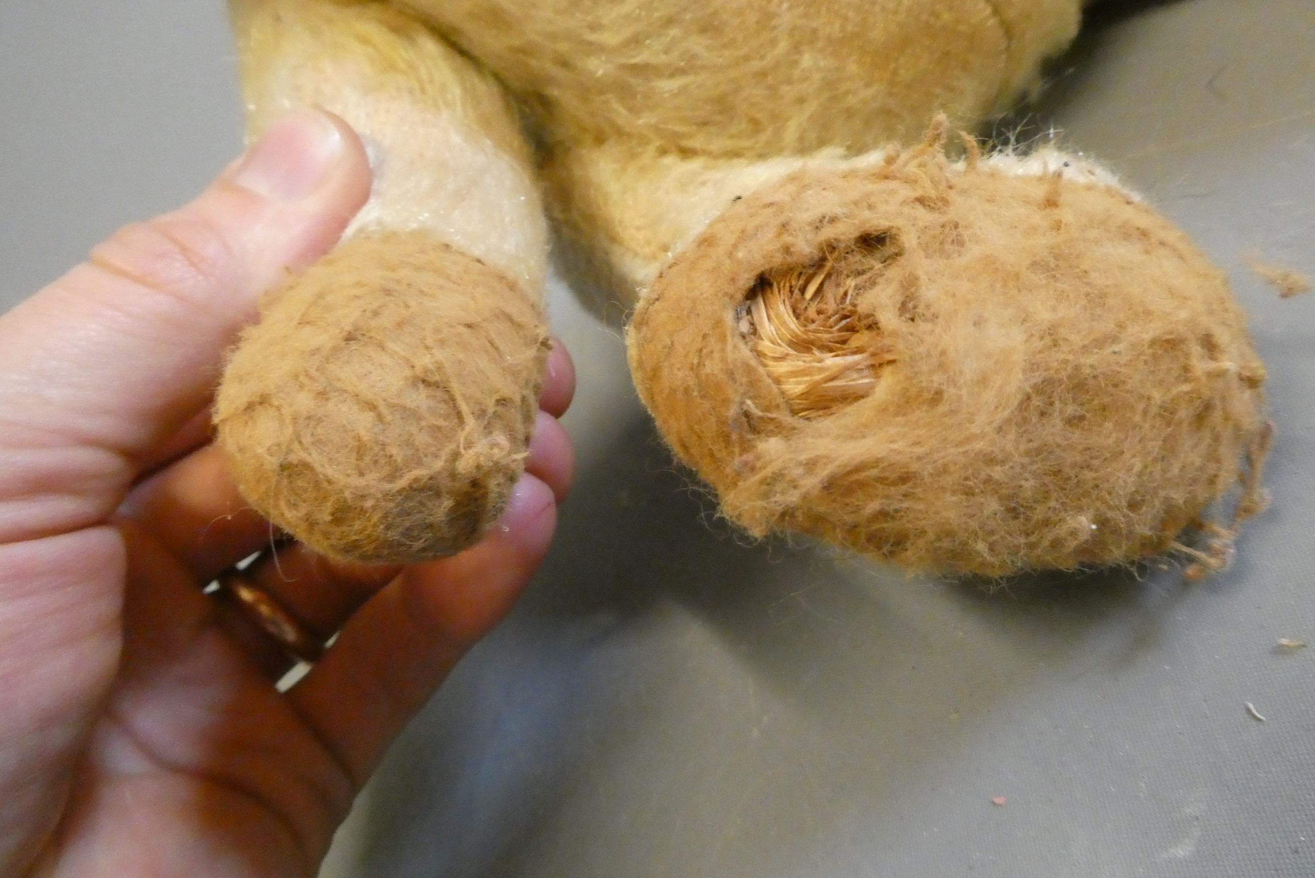 A possible Steiff growling teddy bear, 1940s, straw filled, with light blond plush Image