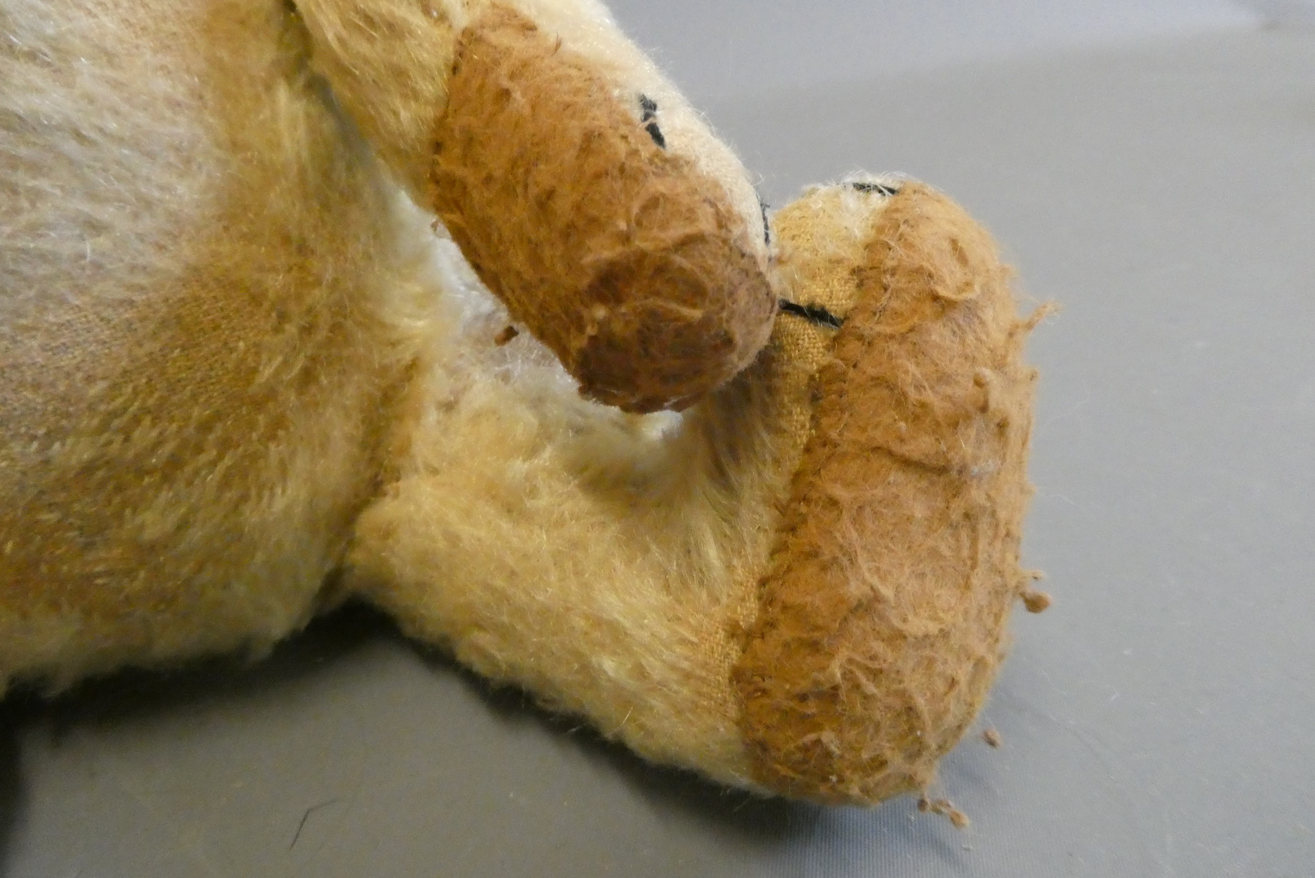 A possible Steiff growling teddy bear, 1940s, straw filled, with light blond plush Image